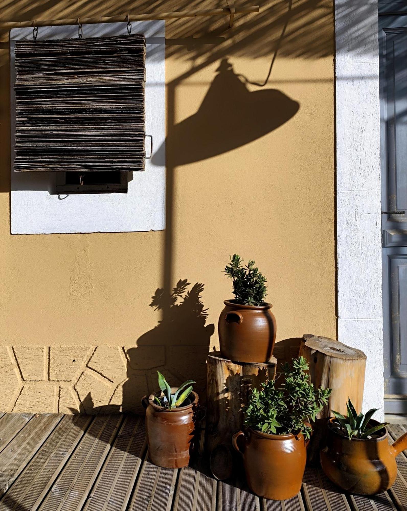 Les Grands Cypres - Chambres D'Hotes Conques-sur-Orbiel Εξωτερικό φωτογραφία